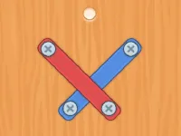 Nuts Bolts Screw Puzzle