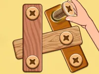 Nut Bolt Puzzle Game